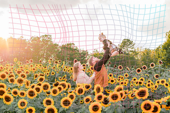 {SOCIALMEDIA} Hannah King Photography SUNFLOWER MANLEY-4