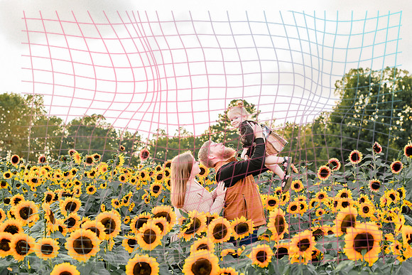 {SOCIALMEDIA} Hannah King Photography SUNFLOWER MANLEY-5