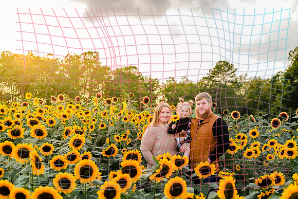 {SOCIALMEDIA} Hannah King Photography SUNFLOWER MANLEY-7