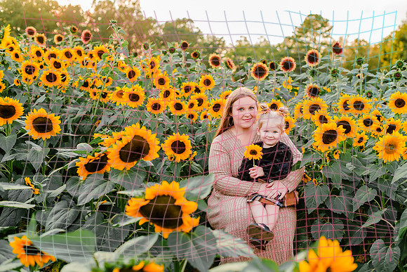 {SOCIALMEDIA} Hannah King Photography SUNFLOWER MANLEY-10
