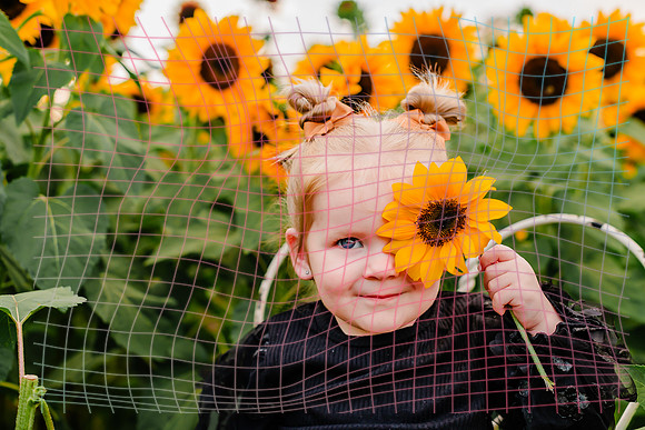 {SOCIALMEDIA} Hannah King Photography SUNFLOWER MANLEY-14