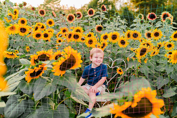 {SOCIALMEDIA} Hannah King Photography SUNFLOWER MCCORMICK-2