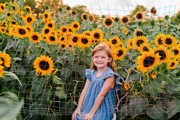 {SOCIALMEDIA} Hannah King Photography SUNFLOWER MCCORMICK-7