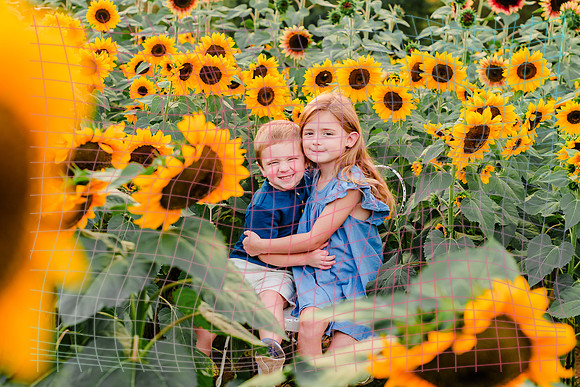 {SOCIALMEDIA} Hannah King Photography SUNFLOWER MCCORMICK-4