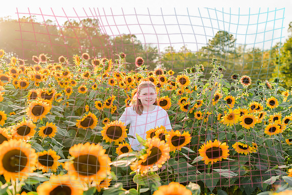 {SOCIALMEDIA} Hannah King Photography SUNFLOWER REESE-2