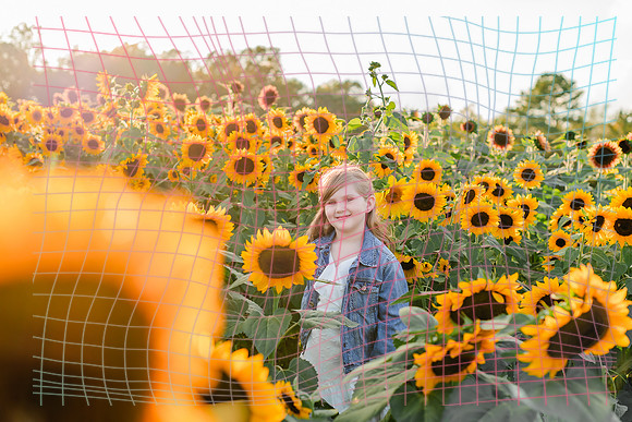 {SOCIALMEDIA} Hannah King Photography SUNFLOWER REESE-6