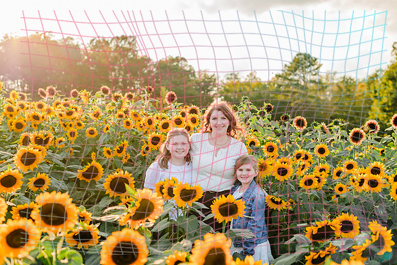 {SOCIALMEDIA} Hannah King Photography SUNFLOWER REESE-9