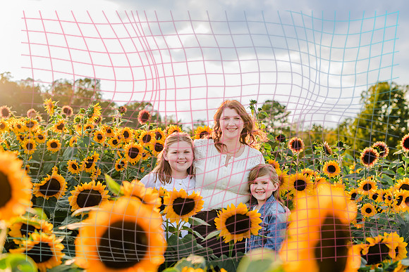 {SOCIALMEDIA} Hannah King Photography SUNFLOWER REESE-10