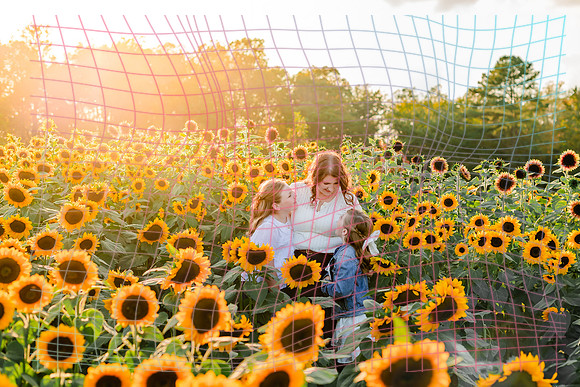 {SOCIALMEDIA} Hannah King Photography SUNFLOWER REESE-13