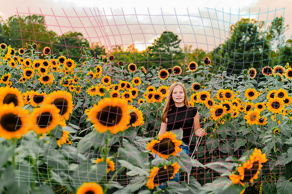{SOCIALMEDIA} Hannah King Photography SUNFLOWER STRADER-1