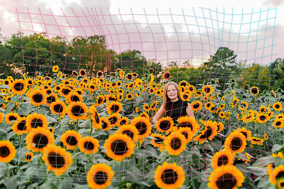 {SOCIALMEDIA} Hannah King Photography SUNFLOWER STRADER-3