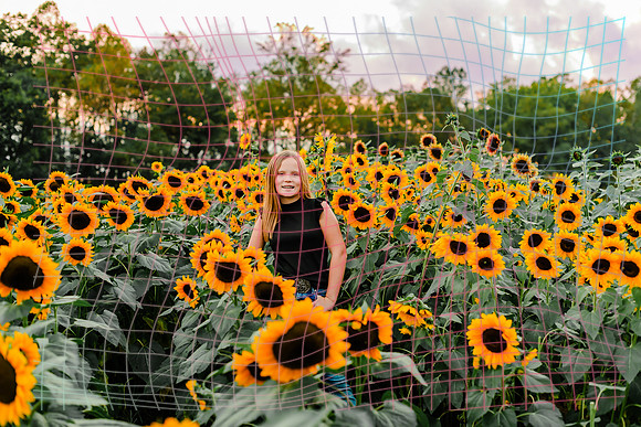 {SOCIALMEDIA} Hannah King Photography SUNFLOWER STRADER-5