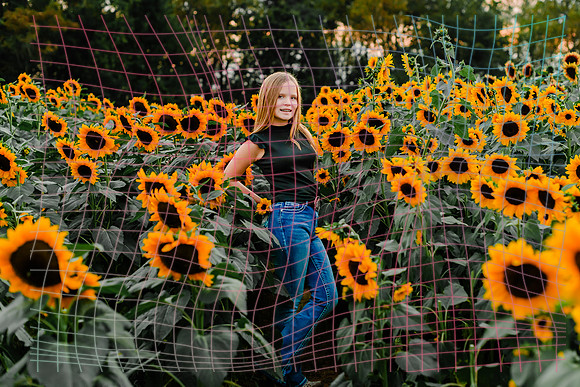 {SOCIALMEDIA} Hannah King Photography SUNFLOWER STRADER-14