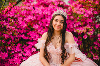 {PRINT} Hannah King Photography SOFIA QUINCE favs-20