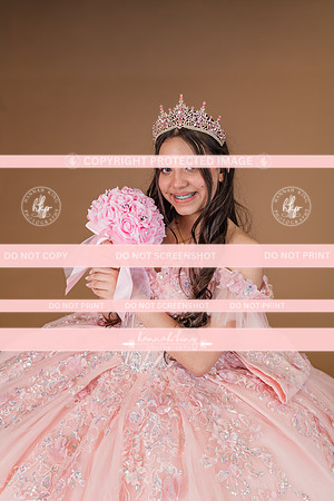 {PRINT} Hannah King Photography SOFIA QUINCE extras-11