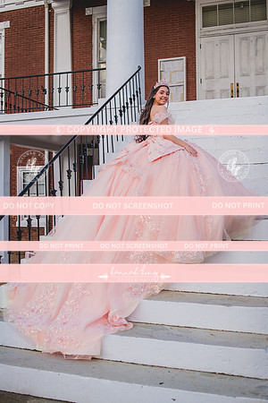 {PRINT} Hannah King Photography SOFIA QUINCE extras-14