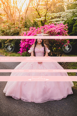 {PRINT} Hannah King Photography SOFIA QUINCE extras-15