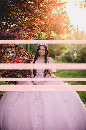 {PRINT} Hannah King Photography SOFIA QUINCE extras-17