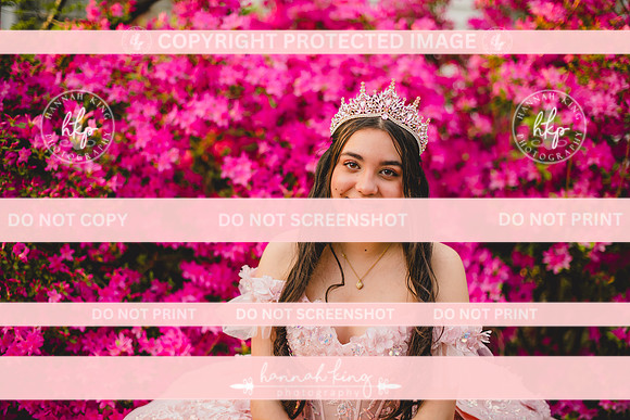 {PRINT} Hannah King Photography SOFIA QUINCE extras-16