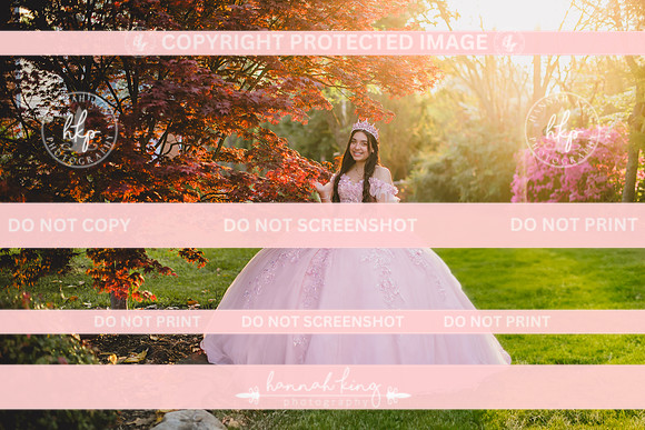 {PRINT} Hannah King Photography SOFIA QUINCE extras-18