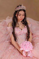 {PRINT} Hannah King Photography SOFIA QUINCE extras-9