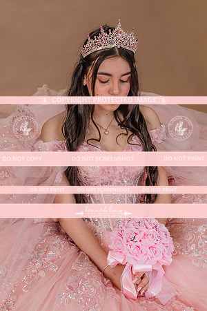 {PRINT} Hannah King Photography SOFIA QUINCE extras-9