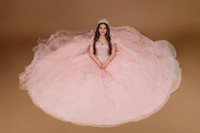 {PRINT} Hannah King Photography SOFIA QUINCE extras-8
