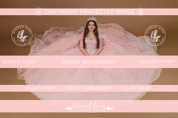 {PRINT} Hannah King Photography SOFIA QUINCE extras-8