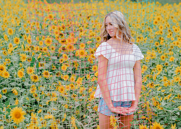 {SOCIALMEDIA} Hannah King Photography SUNFLOWER MAKENZIE-3