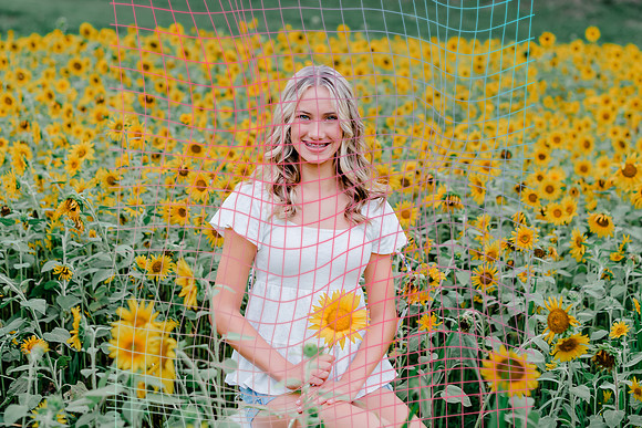 {SOCIALMEDIA} Hannah King Photography SUNFLOWER MAKENZIE-8