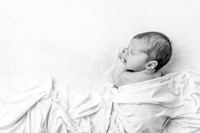 {PRINT} Hannah King Photography GRAHAM FOX NEWBORN-2