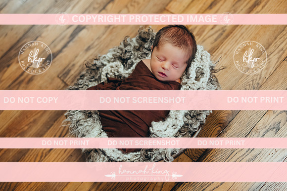 {PRINT} Hannah King Photography GRAHAM FOX NEWBORN-12