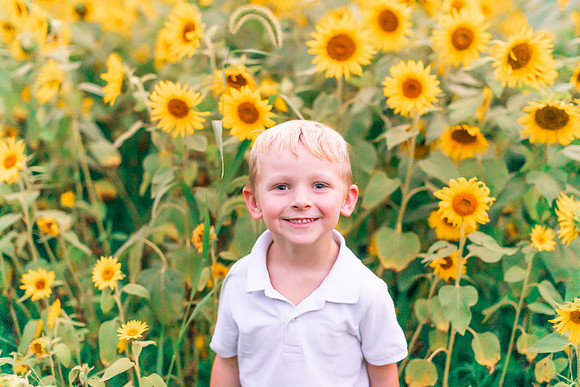 {SOCIALMEDIA} Hannah King Photography SUNFLOWERS2023 ATKINS-14