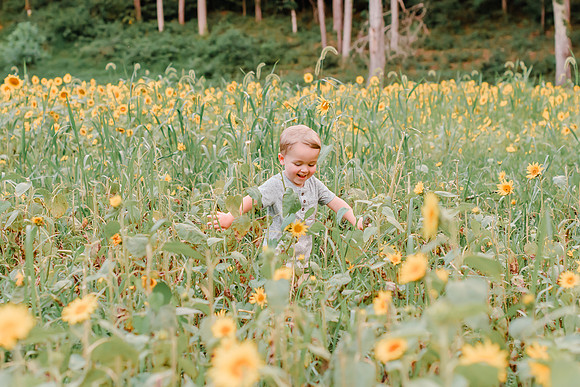 {SOCIALMEDIA} Hannah King Photography SUNFLOWERS2023 FOWLER -15