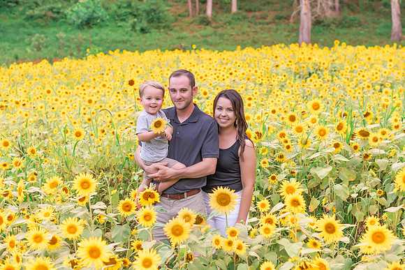 {SOCIALMEDIA} Hannah King Photography SUNFLOWERS2023 FOWLER -1