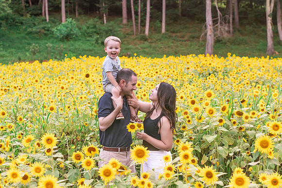 {SOCIALMEDIA} Hannah King Photography SUNFLOWERS2023 FOWLER -4