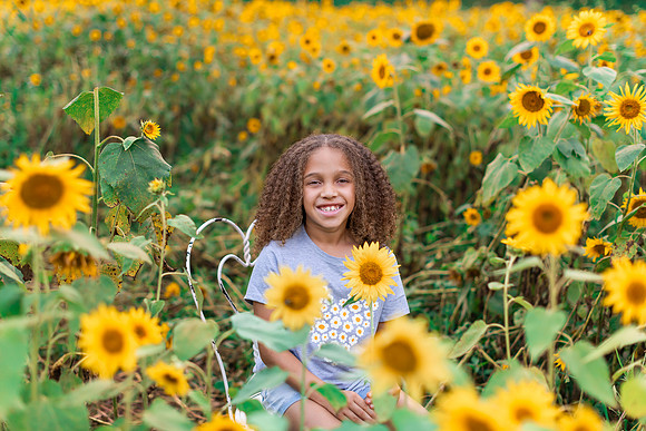 {SOCIALMEDIA} Hannah King Photography SUNFLOWERS2023 JONES-1
