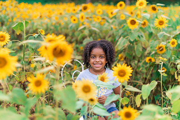{SOCIALMEDIA} Hannah King Photography SUNFLOWERS2023 JONES-3