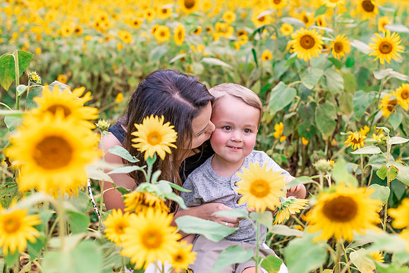 {SOCIALMEDIA} Hannah King Photography SUNFLOWERS2023 FOWLER -10