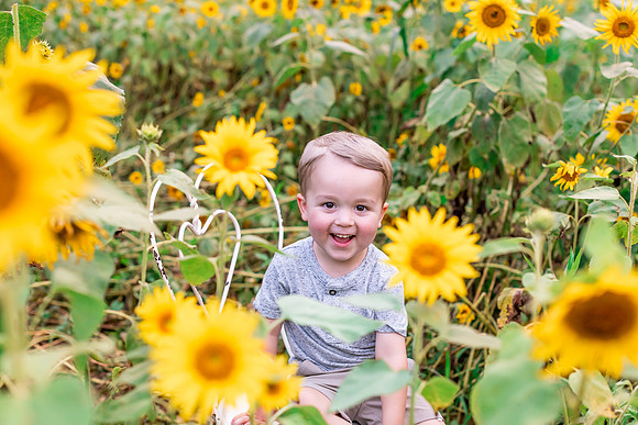 {SOCIALMEDIA} Hannah King Photography SUNFLOWERS2023 FOWLER -13