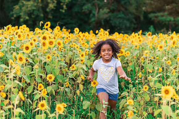 {SOCIALMEDIA} Hannah King Photography SUNFLOWERS2023 JONES-10