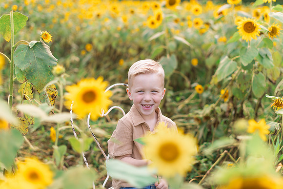 {SOCIALMEDIA} Hannah King Photography SUNFLOWERS2023 Woicikowfski-1