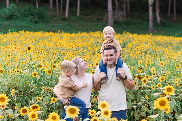 {SOCIALMEDIA} Hannah King Photography SUNFLOWERS2023 Woicikowfski-7