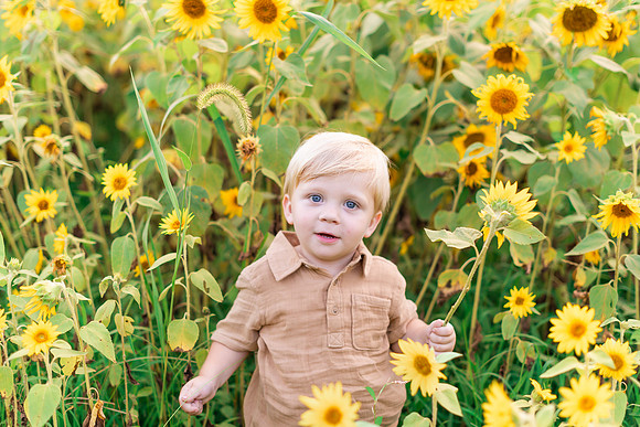 {SOCIALMEDIA} Hannah King Photography SUNFLOWERS2023 Woicikowfski-13