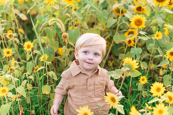{SOCIALMEDIA} Hannah King Photography SUNFLOWERS2023 Woicikowfski-14