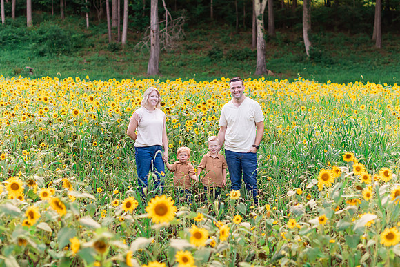 {SOCIALMEDIA} Hannah King Photography SUNFLOWERS2023 Woicikowfski-15