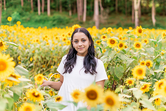 {SOCIALMEDIA} Hannah King Photography SUNFLOWERS2023 FRANKIE-1
