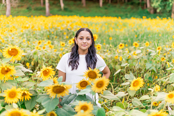 {SOCIALMEDIA} Hannah King Photography SUNFLOWERS2023 FRANKIE-3