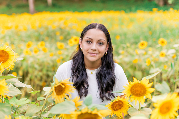 {SOCIALMEDIA} Hannah King Photography SUNFLOWERS2023 FRANKIE-5