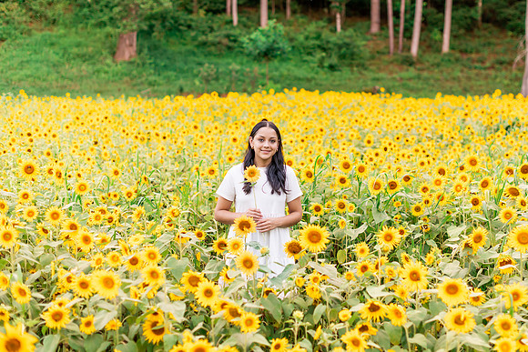 {SOCIALMEDIA} Hannah King Photography SUNFLOWERS2023 FRANKIE-6